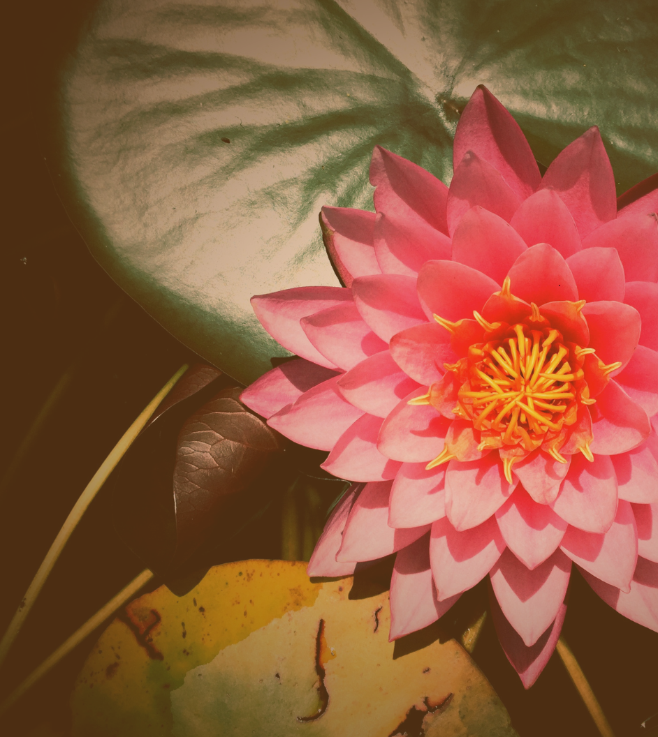 top tempe counseling individual and couples therapy (2)